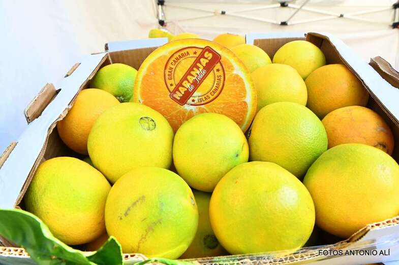 Imagen de archivo del naranja del país cosechadas en Telde/Antonio Alí.